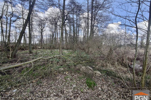 Działka na sprzedaż 6470m2 kamieński Wolin Boczna - zdjęcie 3