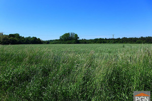 Działka na sprzedaż 2600m2 gryficki Gryfice - zdjęcie 3