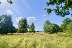 Działka na sprzedaż 3001m2 kamieński Świerzno Gostyniec - zdjęcie 3