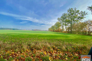 Działka na sprzedaż 10200m2 łobeski Resko - zdjęcie 1