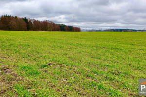 Działka na sprzedaż 12974m2 gryficki Gryfice - zdjęcie 2