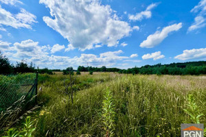 Działka na sprzedaż 1950m2 kamieński Wolin Domysłów - zdjęcie 2