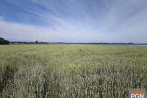 Działka na sprzedaż 7350m2 kamieński Kamień Pomorski Sibin - zdjęcie 3