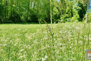 Działka na sprzedaż 1226m2 gryficki Gryfice - zdjęcie 2