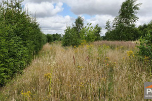 Działka na sprzedaż 1500m2 gryficki Gryfice - zdjęcie 3