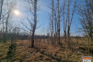 Działka na sprzedaż 1000m2 kamieński Kamień Pomorski Buniewice - zdjęcie 2