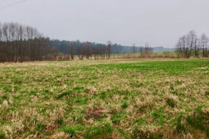 Działka na sprzedaż 1000m2 gryficki Rewal Pobierowo - zdjęcie 2