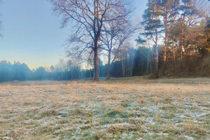 Działka na sprzedaż 976m2 kamieński Świerzno Gostyń - zdjęcie 3