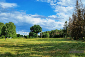 Działka na sprzedaż 1614m2 szczecinecki Biały Bór Biskupice - zdjęcie 2