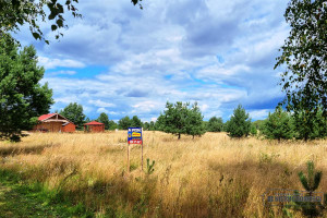 Działka na sprzedaż 2143m2 szczecinecki Biały Bór Dołgie - zdjęcie 2