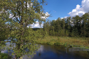 Działka na sprzedaż złotowski Okonek Lubnica - zdjęcie 2