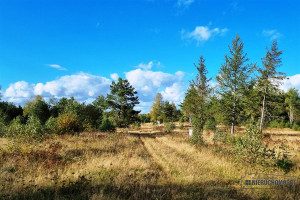 Działka na sprzedaż 1523m2 szczecinecki Biały Bór Stepień - zdjęcie 2