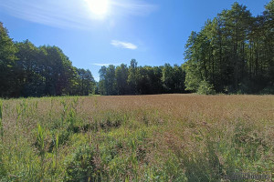 Działka na sprzedaż 11900m2 szczecinecki Szczecinek Gwda Wielka - zdjęcie 3