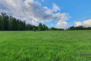 Działka na sprzedaż 3281m2 białogardzki Tychowo Pobądz - zdjęcie 3