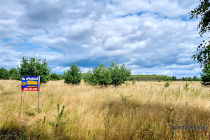 Działka na sprzedaż 2143m2 szczecinecki Biały Bór Dołgie - zdjęcie 3