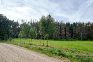 Działka na sprzedaż 785m2 szczecinecki Biały Bór Biskupice - zdjęcie 3