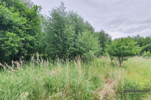 Działka na sprzedaż szczecinecki Borne Sulinowo Silnowo - zdjęcie 3