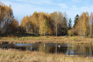 Działka na sprzedaż 43278m2 szczecinecki Grzmiąca Przeradz działki - zdjęcie 3