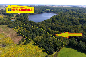 Działka na sprzedaż 23534m2 szczecinecki Szczecinek Czarnobór - zdjęcie 1