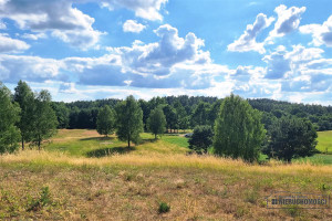 Działka na sprzedaż 1202m2 szczecinecki Grzmiąca Radomyśl - zdjęcie 2