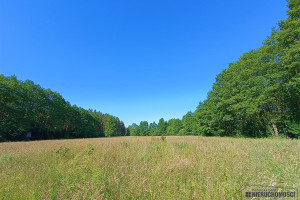 Działka na sprzedaż 11900m2 szczecinecki Szczecinek Gwda Wielka - zdjęcie 2