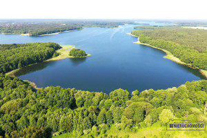 Działka na sprzedaż 9200m2 szczecinecki Borne Sulinowo Krągi działka - zdjęcie 3