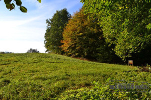 Działka na sprzedaż 3196m2 szczecinecki Borne Sulinowo Silnowo - zdjęcie 2