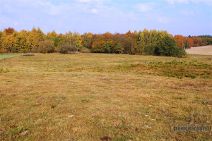 Działka na sprzedaż 2200m2 szczecinecki Grzmiąca Mieszałki - zdjęcie 2