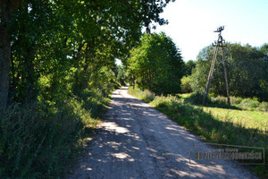 Działka na sprzedaż 5185m2 szczecinecki Borne Sulinowo Łubowo Polna - zdjęcie 2