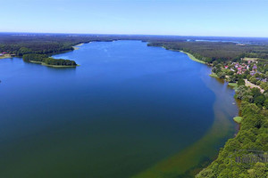 Działka na sprzedaż 1247m2 szczecinecki Borne Sulinowo Dąbrowica Poziomkowa - zdjęcie 2