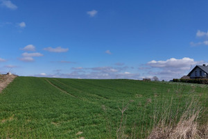 Działka na sprzedaż 1500m2 miechowski Gołcza - zdjęcie 2