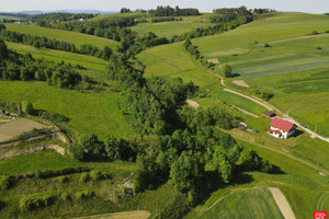 Działka na sprzedaż 5200m2 nowosądecki Stary Sącz Przysietnica - zdjęcie 2