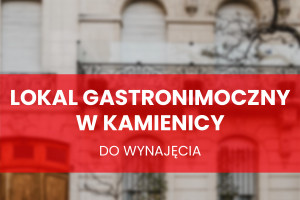 Komercyjne do wynajęcia 250m2 Kraków Stare Miasto - zdjęcie 1