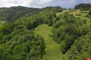 Działka na sprzedaż 7500m2 nowosądecki Piwniczna-Zdrój - zdjęcie 1