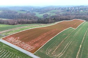 Działka na sprzedaż 17000m2 krakowski Zielonki Grębynice - zdjęcie 1