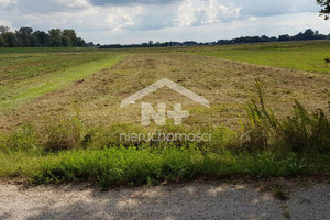 Działka na sprzedaż 2600m2 lipski Solec nad Wisłą Kolonia Nadwiślańska - zdjęcie 2