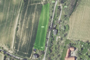 Działka na sprzedaż 3715m2 nyski Kamiennik Karłowice Małe - zdjęcie 1