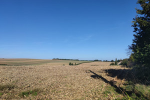 Działka na sprzedaż 3715m2 nyski Kamiennik Karłowice Małe - zdjęcie 2