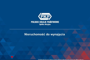 Działka do wynajęcia 4000m2 kłodzki Międzylesie Domaszków - zdjęcie 2