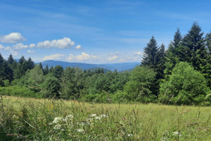 Działka na sprzedaż 1000m2 suski Maków Podhalański Żarnówka - zdjęcie 1