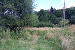 Działka na sprzedaż 4500m2 suski Stryszawa Lachowice - zdjęcie 2