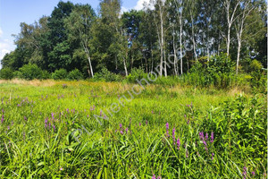 Działka na sprzedaż 5600m2 miński Mińsk Mazowiecki Maliszew - zdjęcie 1