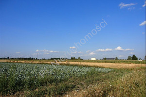 Działka na sprzedaż 16000m2 miński Halinów Wielgolas Duchnowski - zdjęcie 3