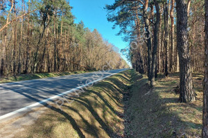 Działka na sprzedaż 4200m2 miński Dobre Osęczyzna - zdjęcie 1