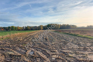 Działka na sprzedaż 10200m2 miński Jakubów Moczydła - zdjęcie 1