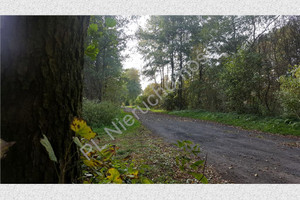 Działka na sprzedaż 10001m2 miński Halinów Długa Szlachecka - zdjęcie 1