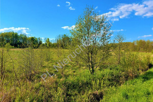 Działka na sprzedaż 2700m2 miński Mrozy Mała Wieś - zdjęcie 2