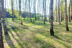 Działka na sprzedaż 3052m2 miński Jakubów Szczytnik - zdjęcie 1