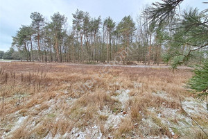 Działka na sprzedaż 1200m2 miński Jakubów Leontyna - zdjęcie 3