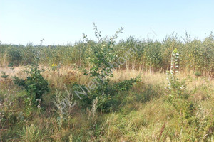 Działka na sprzedaż 1600m2 miński Kałuszyn Wity - zdjęcie 2